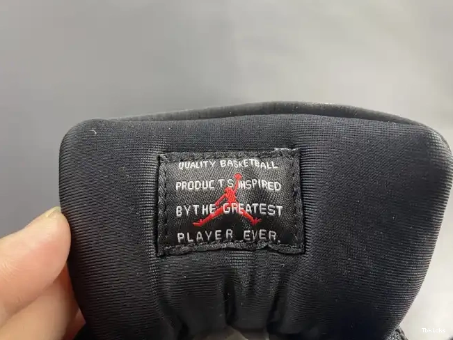 Reps TBK INSTINCT AR0715-010 JORDAN AIR 11 ANIMAL 0612